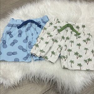 Hudson Baby set of 2 shorts
